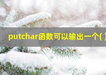 putchar函数可以输出一个( )